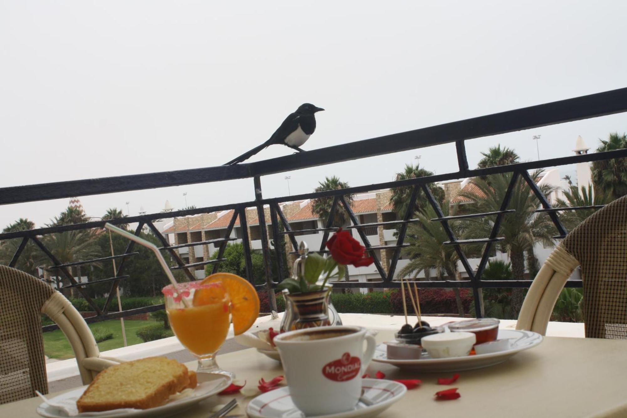 Golden Beach Appart'Hotel Αγκαντίρ Δωμάτιο φωτογραφία